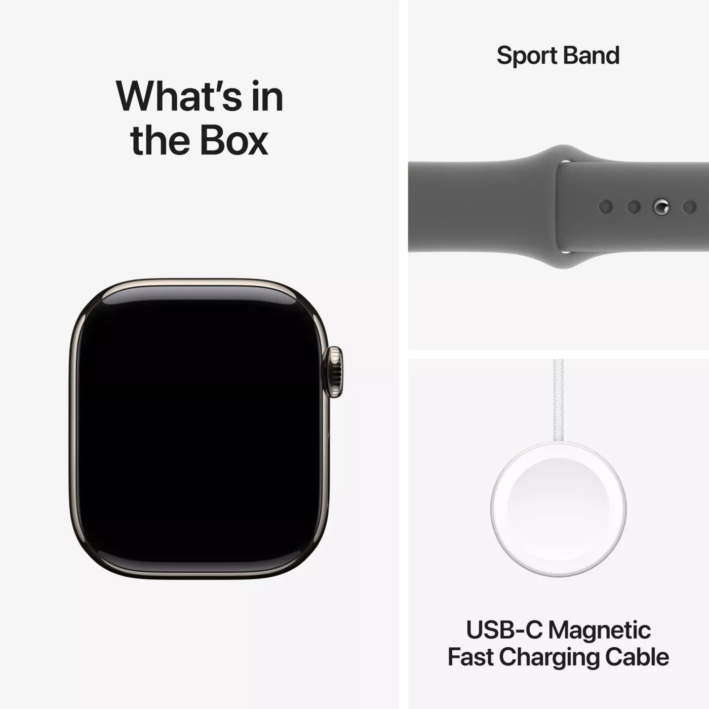 Apple Watch Series 10 GPS + Cellular 42mm Natural Titanium Case with Stone Gray Sport Band - M/L