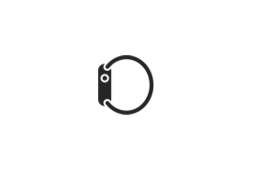 Watch Accessories