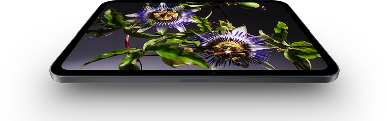 جهاز iPad&nbsp;mini، شاشة OLED مقاس 8.5&nbsp;إنش، ألوان ساطعة وأسود غني، يعرض شخصاً يرتدي قبعة وسترة