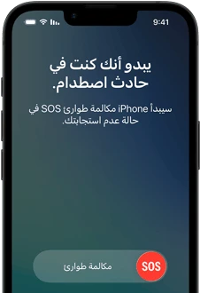 ميزة الرسائل عبر القمر الصناعي قيد الاستخدام